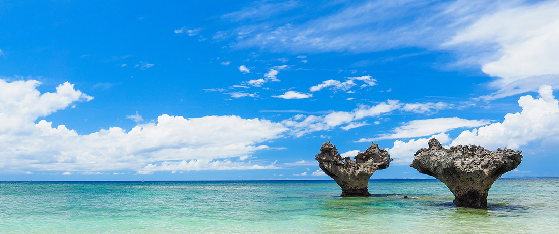 訪問看護ステーション西崎