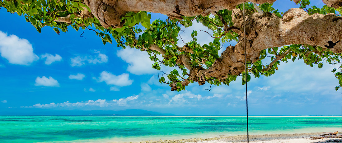 訪問看護ステーション西崎