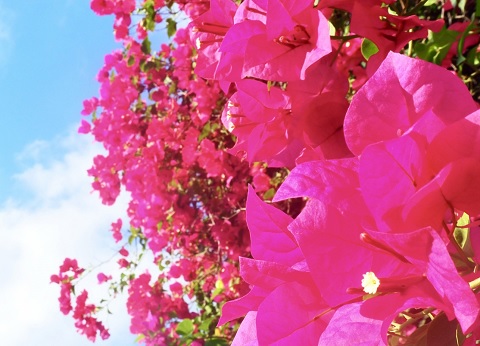 医療相談室（地域連携）