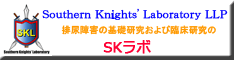 サザンナイトラボラトリーLLP