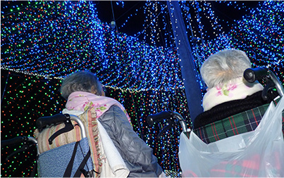 イルミネーション見学