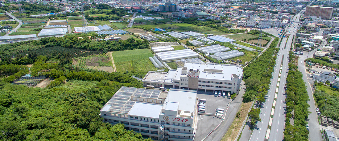 相談支援事業所ソフィア