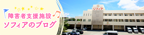 ソフィアブログ